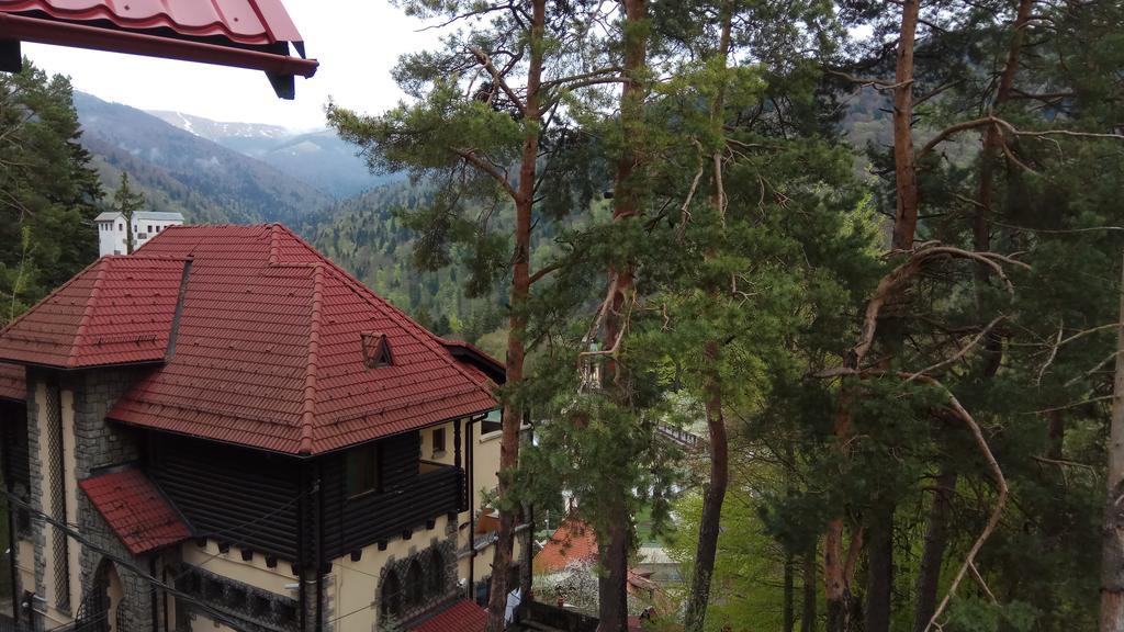 Casa Adina Hotel Sinaia Ngoại thất bức ảnh