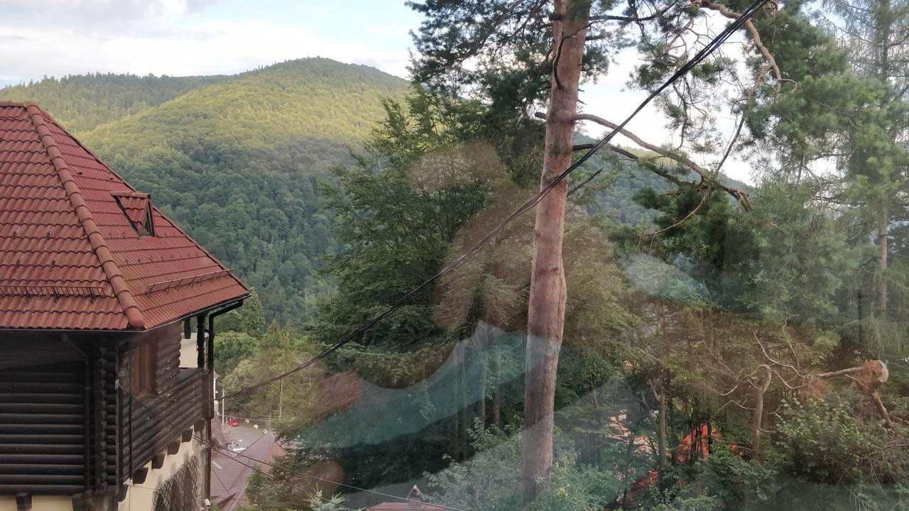 Casa Adina Hotel Sinaia Ngoại thất bức ảnh